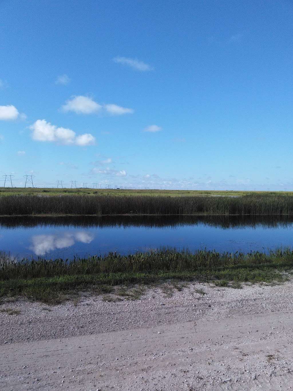 Browns Farm Wildlife Management Area | Florida, USA | Phone: (561) 686-6800