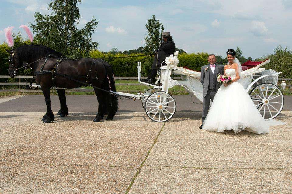 Wayside Carriages | Trumans Oast, Willow Ln, Paddock Wood TN12 6PE, UK | Phone: 07977 204036