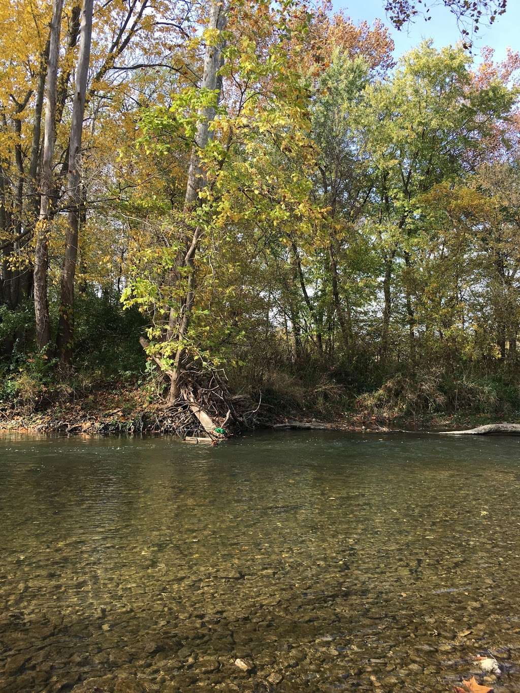 Morrows Meadow | 1901 S Tiger Dr, Yorktown, IN 47396, USA | Phone: (765) 759-8521