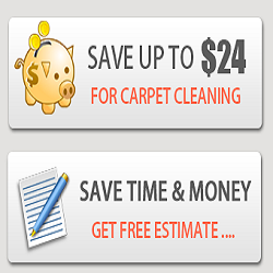 Carpet Cleaner Texas City | 2000 9th Ave N, Texas City, TX 77590, USA | Phone: (409) 233-3756