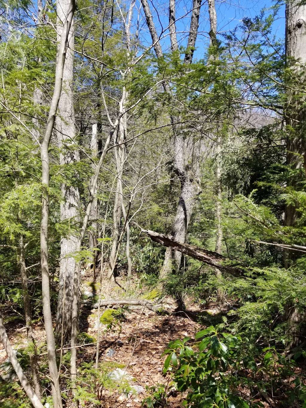 Appalachian Trail | Appalachian Trail, Hardwick Township, NJ 07825, USA