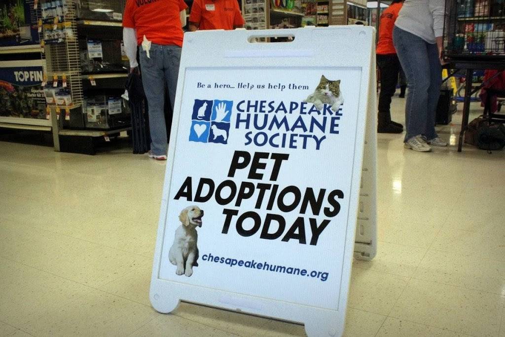 Chesapeake Humane Society | 312 N Battlefield Blvd, Chesapeake, VA 23320 | Phone: (757) 546-5355