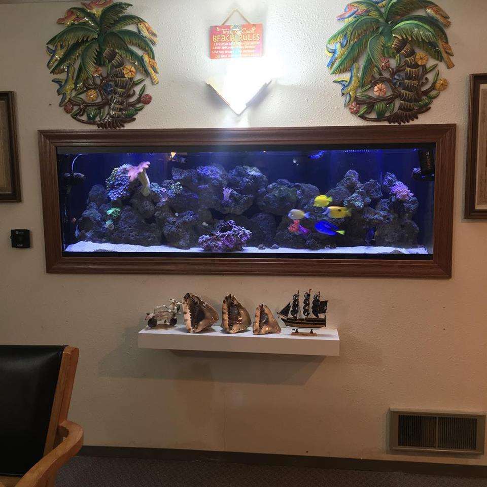 Aquatic Realmz Aquarium Maintenance & Design | 3550 S 108th St Suit B, Greenfield, WI 53228, USA | Phone: (414) 800-5825