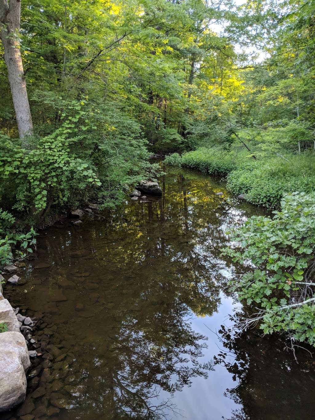 Crawford Walking Trail 100198 Ward Ave, Pine Bush, NY 12566, USA