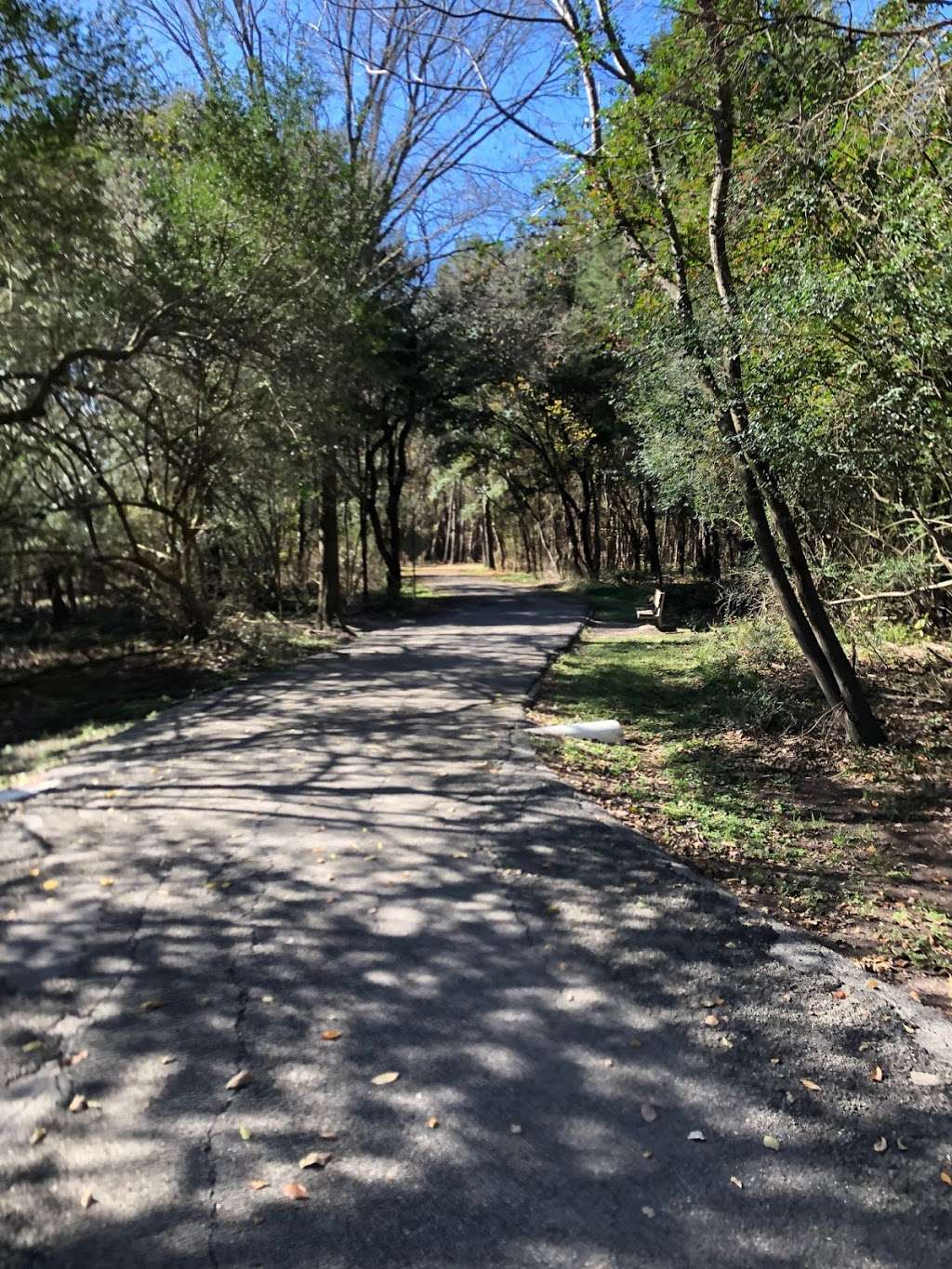 Bear Creek to langham Creek Trail | Patterson Rd, Houston, TX 77084