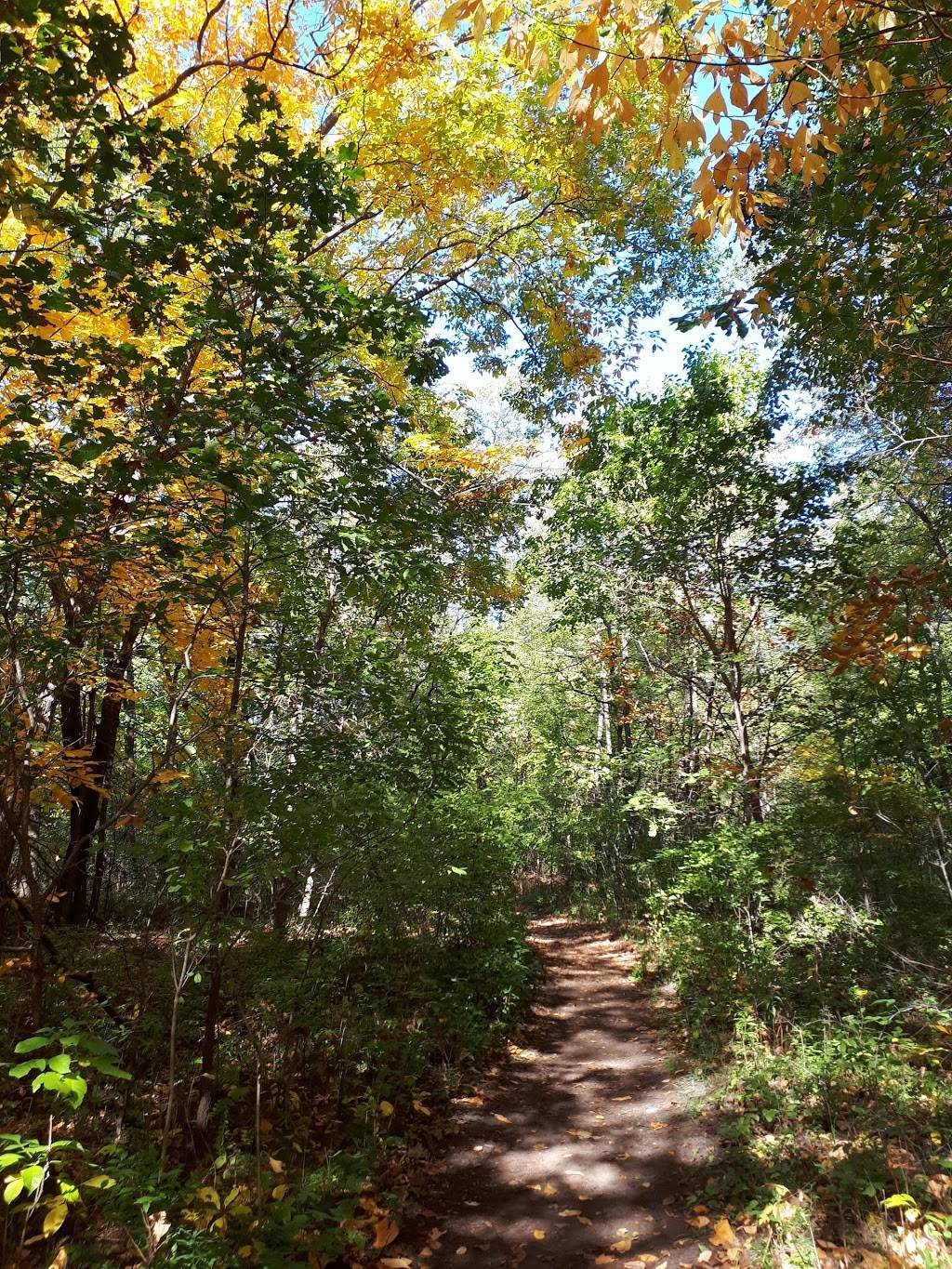 Black Oak Heritage Park | Ojibway Pkwy, Windsor, ON N9A 6S1, Canada | Phone: (519) 255-6267