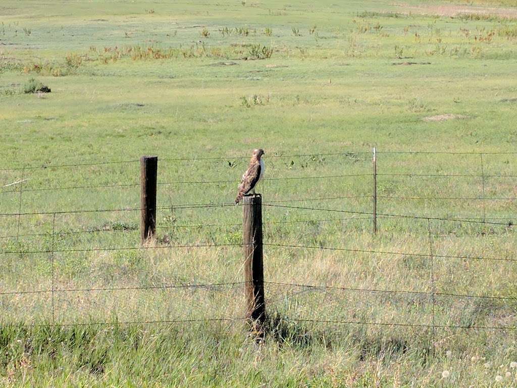 Carolyn Holmberg Preserve at Rock Creek Farm | 1449 Dunsford Way, Broomfield, CO 80020 | Phone: (303) 678-6200