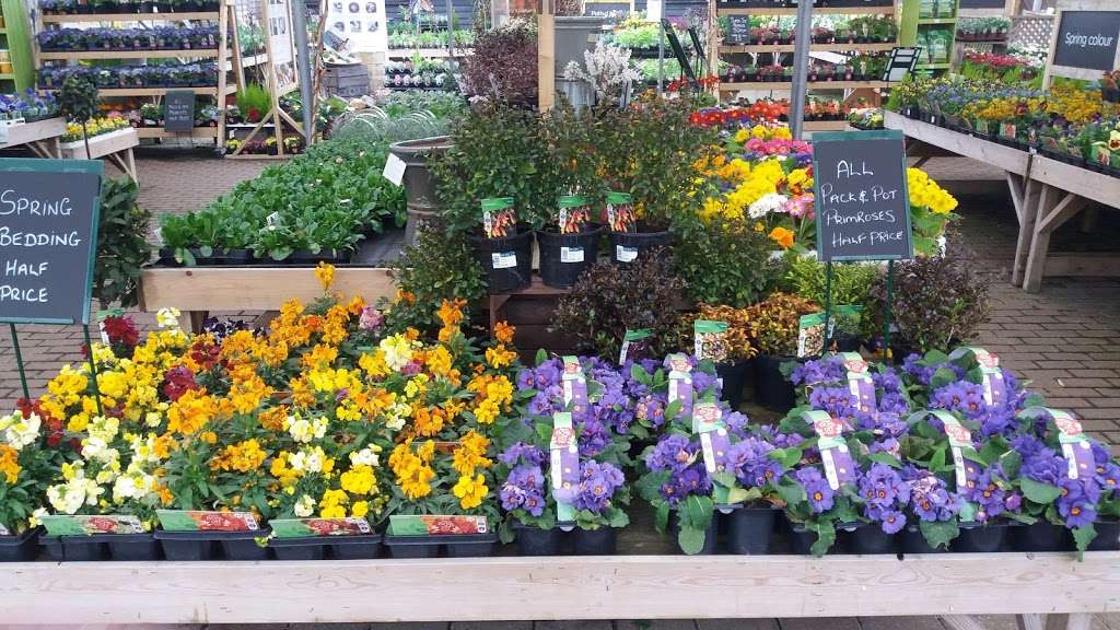 Ongar, a Wyevale Garden Centre | Langford Court, Ongar Rd, Kelvedon Hatch, Brentwood CM15 0LB, UK | Phone: 0844 288 5704