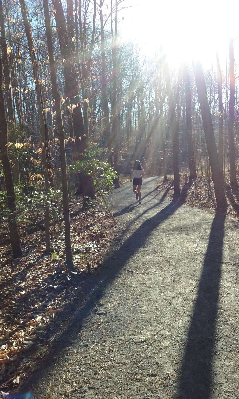 Neabsco Greenway Trail Head | 5800 Portland Dr, Dale City, VA 22193, USA