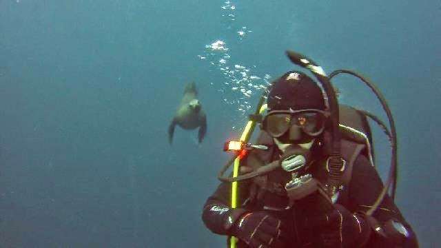 Scuba In Arizona | 12144 W Monte Lindo Ct, Sun City, AZ 85373, USA | Phone: (623) 680-7152