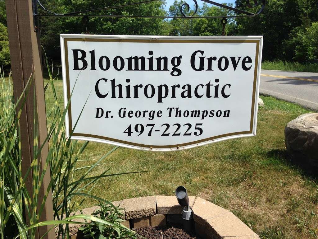 Blooming Grove Chiropractic | 49 Mountain Lodge Rd, Washingtonville, NY 10992, USA | Phone: (845) 497-2225