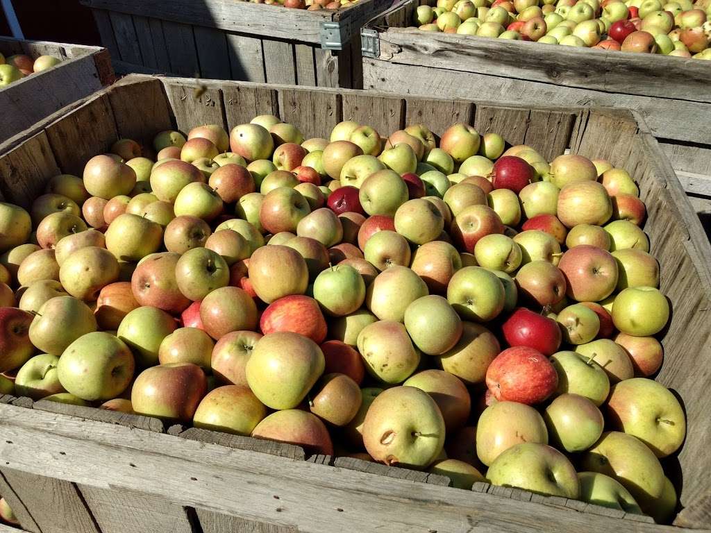 Hacklebarney Farms Cider Mill | 104 State Park Rd, Chester, NJ 07930 | Phone: (908) 879-6593