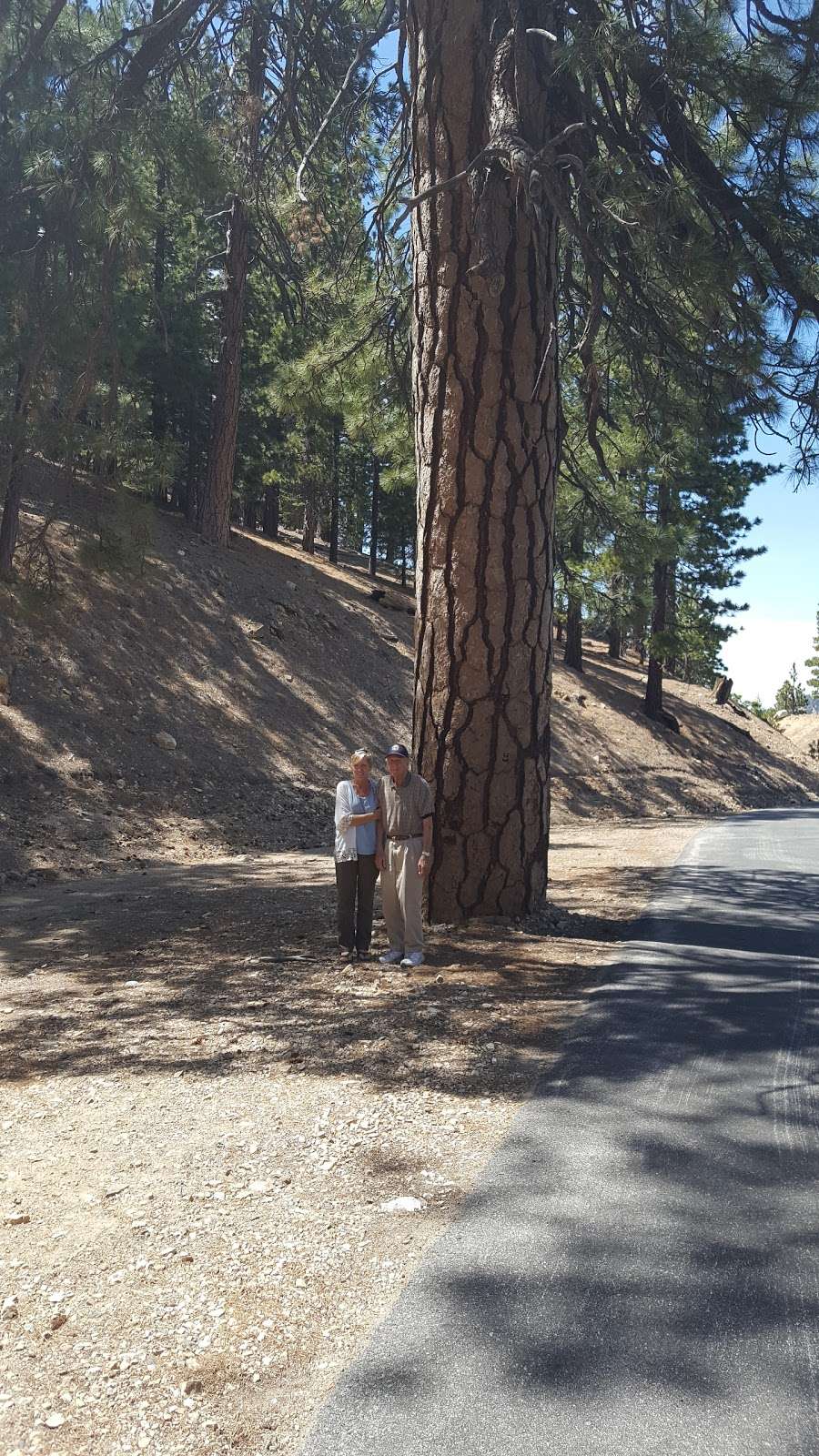 Pine Hollow Picnic Area | Pearblossom, CA 93553, USA