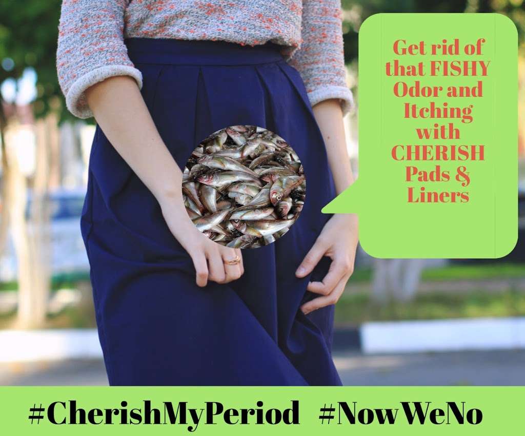 Cherish My Period | 19 Gristmill Ct, Wilmington, DE 19803, USA