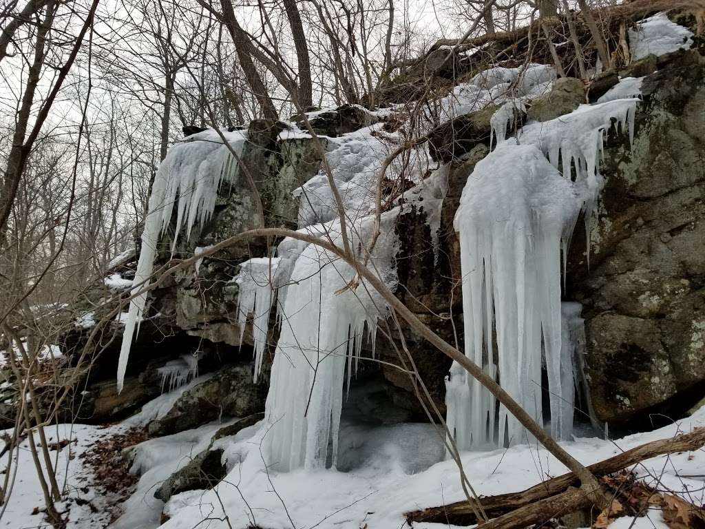 Black Rock Forest - Northern Loop Trailhead | 62 Mine Hill Rd, Cornwall, NY 12518, USA