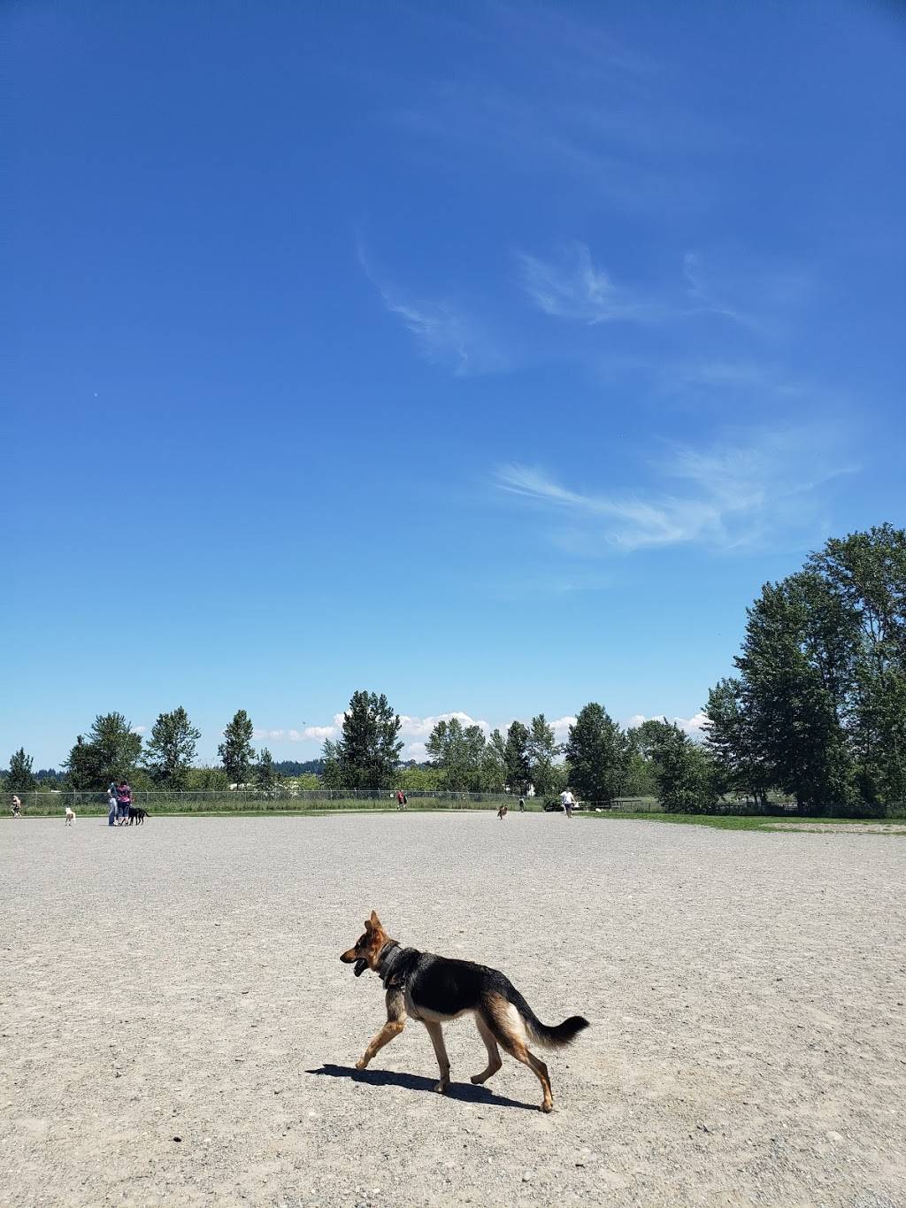 Warren G. Magnuson Park Off Leash Area | 7400 Sand Point Way NE, Seattle, WA 98115, USA | Phone: (206) 684-4075