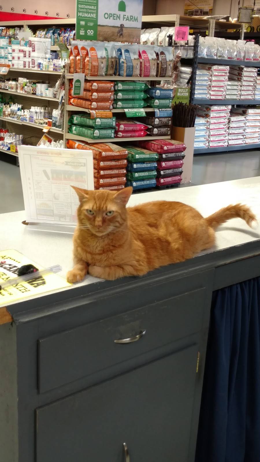Nashville Pet Products | 2621 Cruzen St, Nashville, TN 37211, USA | Phone: (615) 242-2223