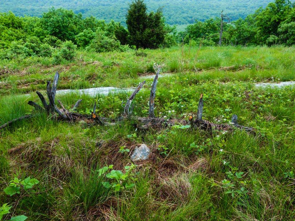 Rattlesnake Mountain | Appalachian Trail, Layton, NJ 07851