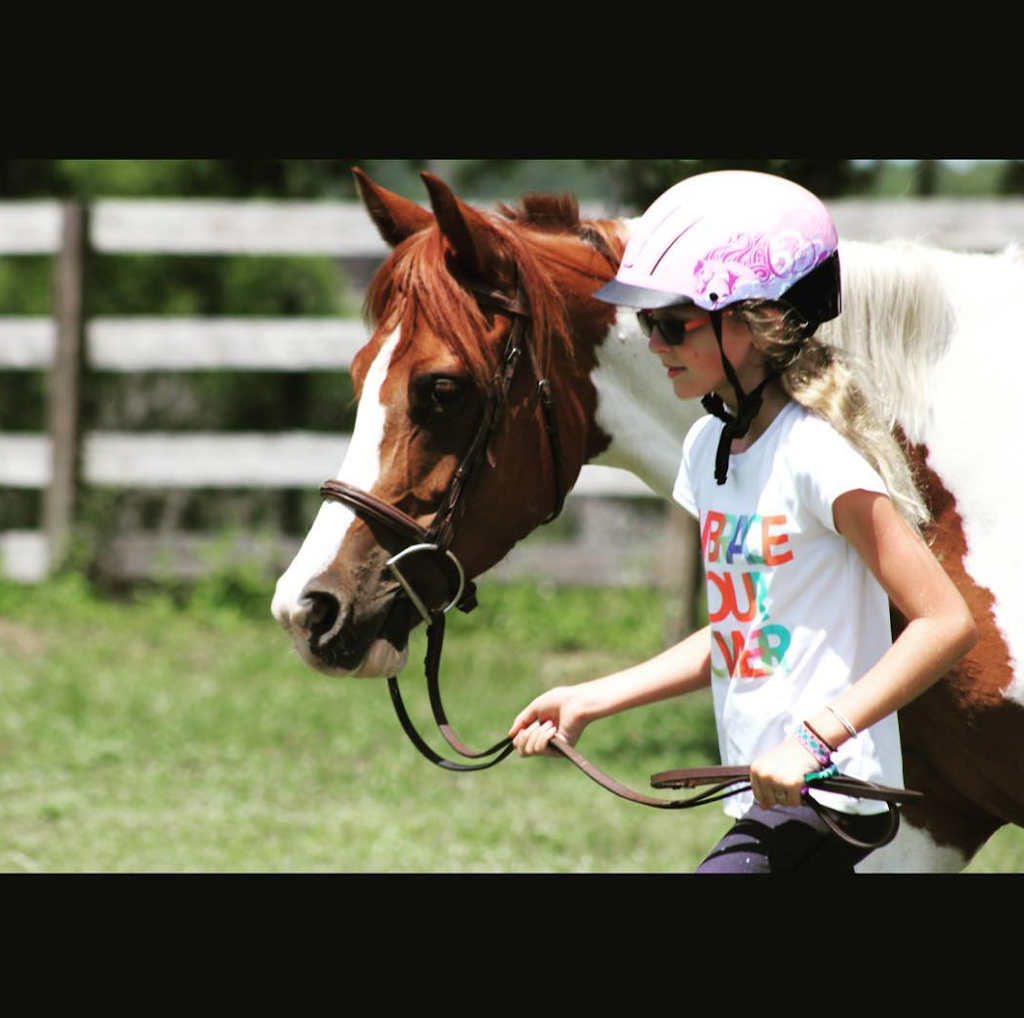 Double S Equestrian | 8420 Colony Barn Rd, Clermont, FL 34714, USA | Phone: (352) 223-5716