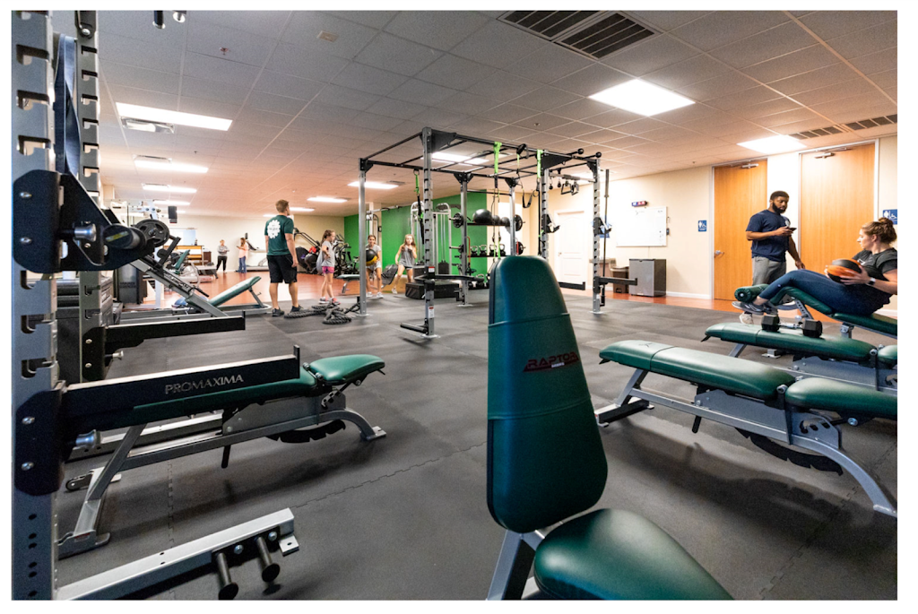 The Zone Fitness | 10371 Stella Link Rd, Houston, TX 77025, USA | Phone: (281) 317-7529