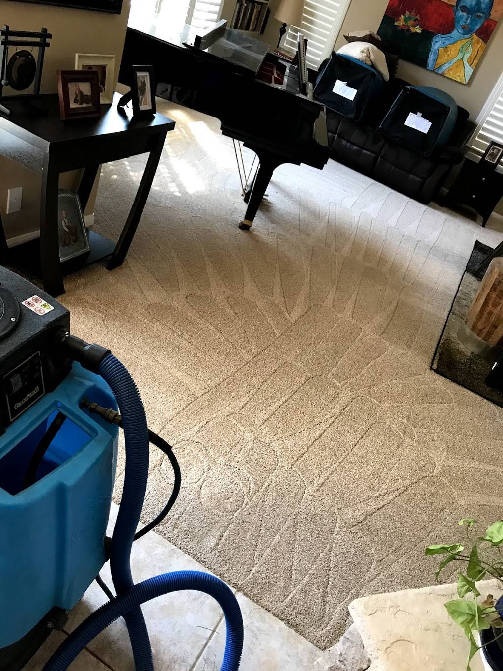 Musser Brothers Carpet Cleaning | 2520 Northside Dr #311, San Diego, CA 92108 | Phone: (619) 376-7152