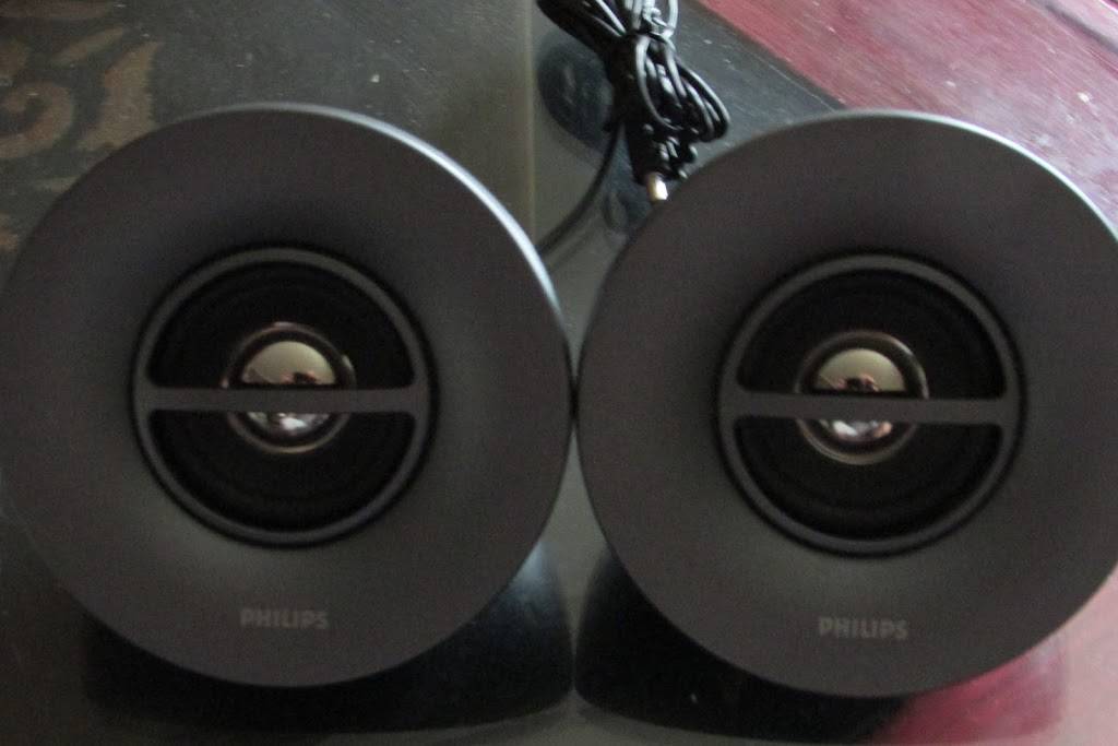 Catz Place | Reno, NV 89506, USA | Phone: (775) 303-0759