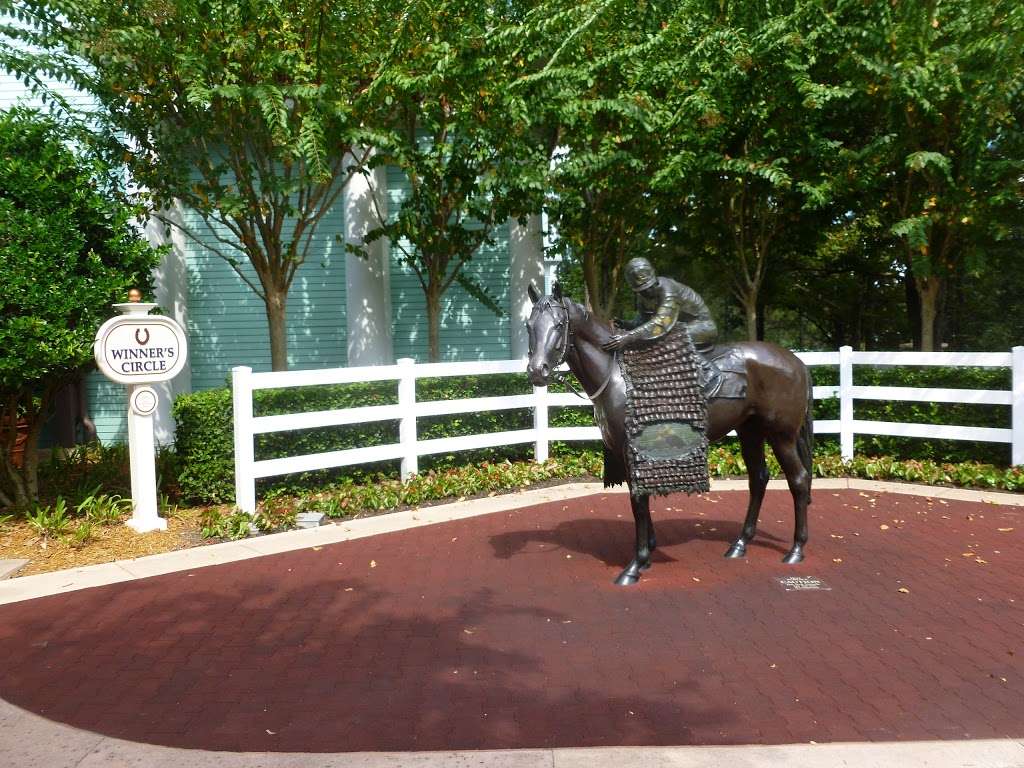 Boat Launch - Disneys Saratoga Springs Resort & Spa | Orlando, FL 32836