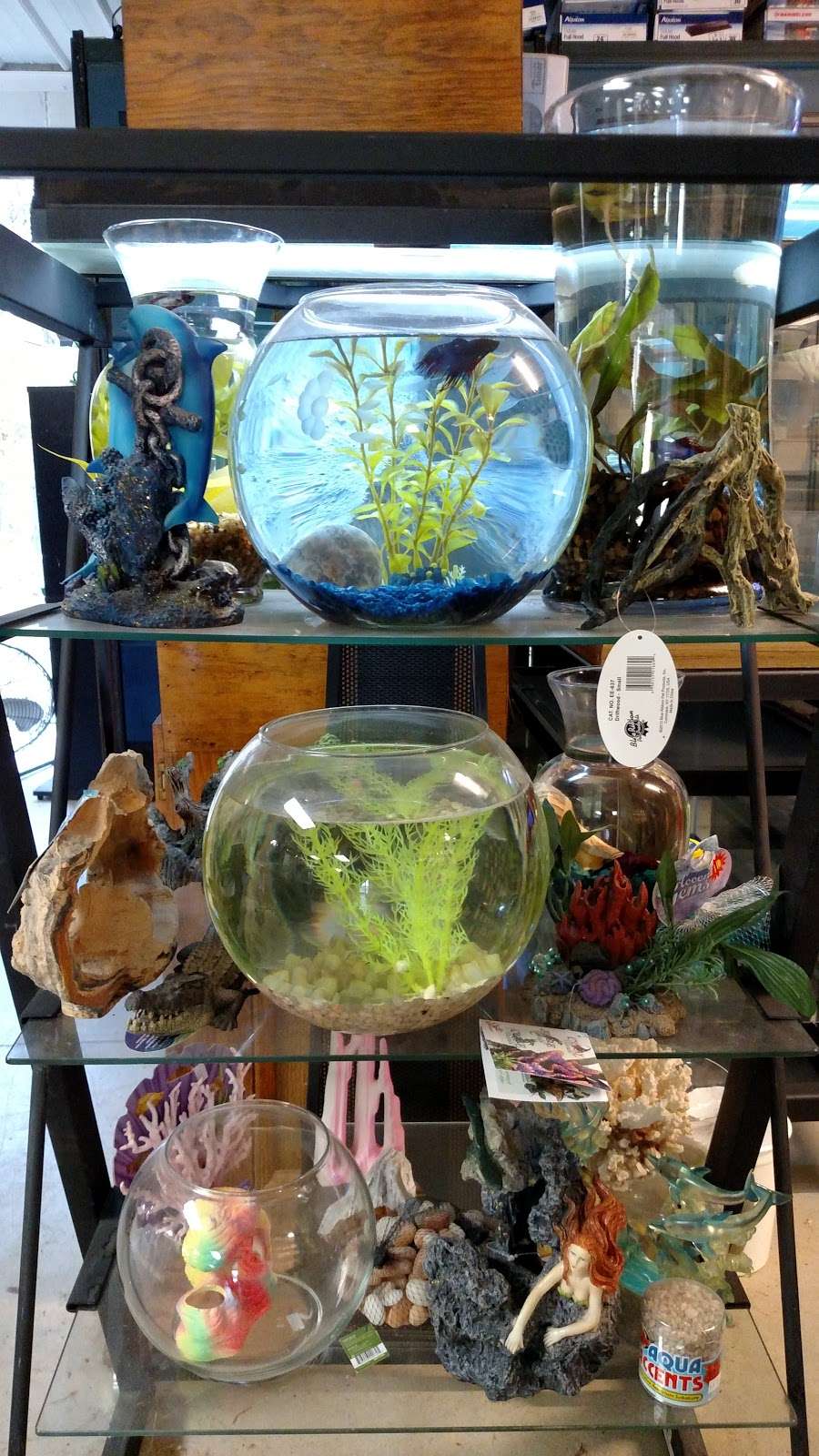 Pet & Bait Shop | 64730, Butler, MO 64730, USA | Phone: (660) 464-0165