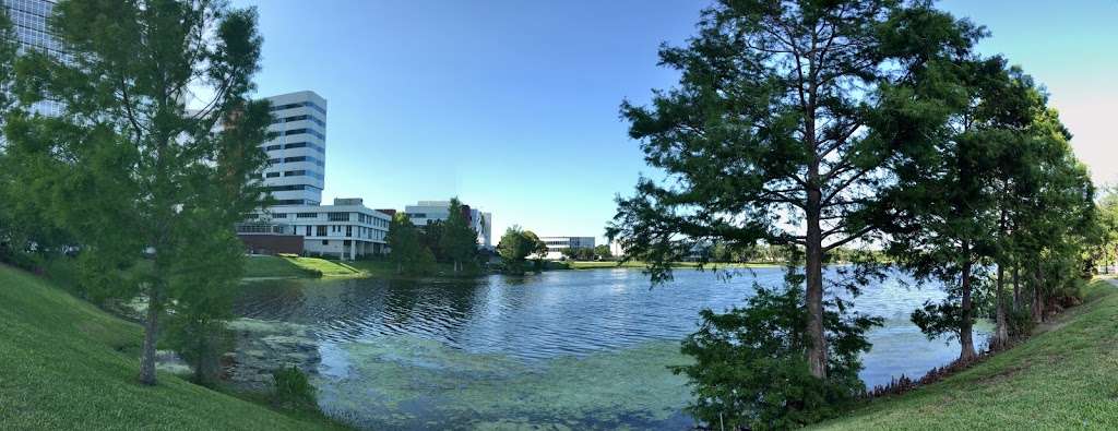 Lake Estelle Park | 1224 Dorchester St, Orlando, FL 32803, USA | Phone: (407) 246-2283
