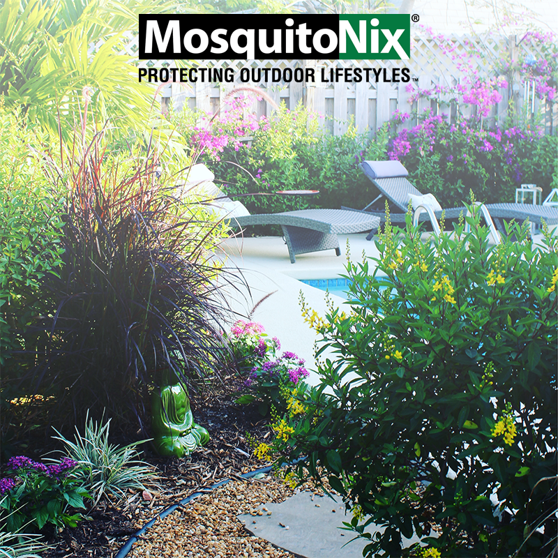 MosquitoNix | 8917 Western Way Suite 07, Jacksonville, FL 32256, USA | Phone: (904) 999-3556