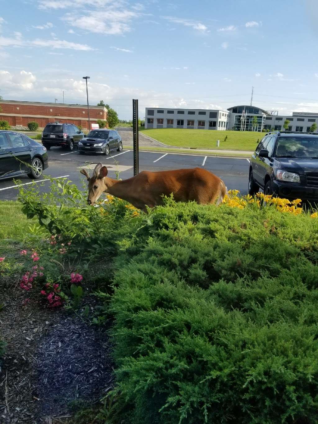 Fresenius Kidney Care Elgin | 2130 Point Blvd Ste 800, Elgin, IL 60123, USA | Phone: (800) 881-5101