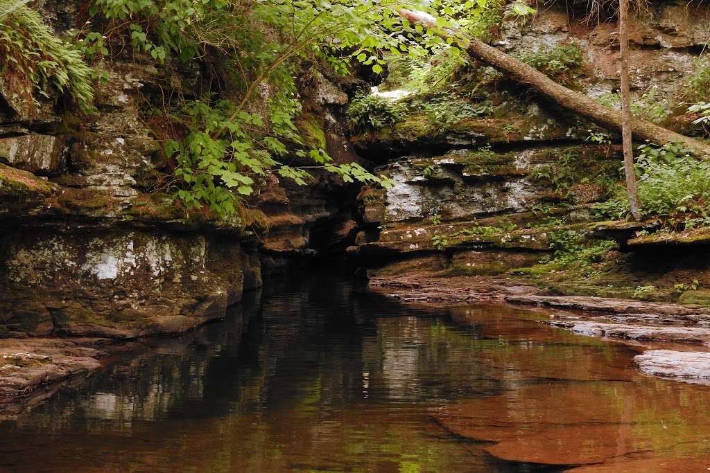 Adams Falls at Ricketts Glen | 288 PA-118, Benton, PA 17814, USA