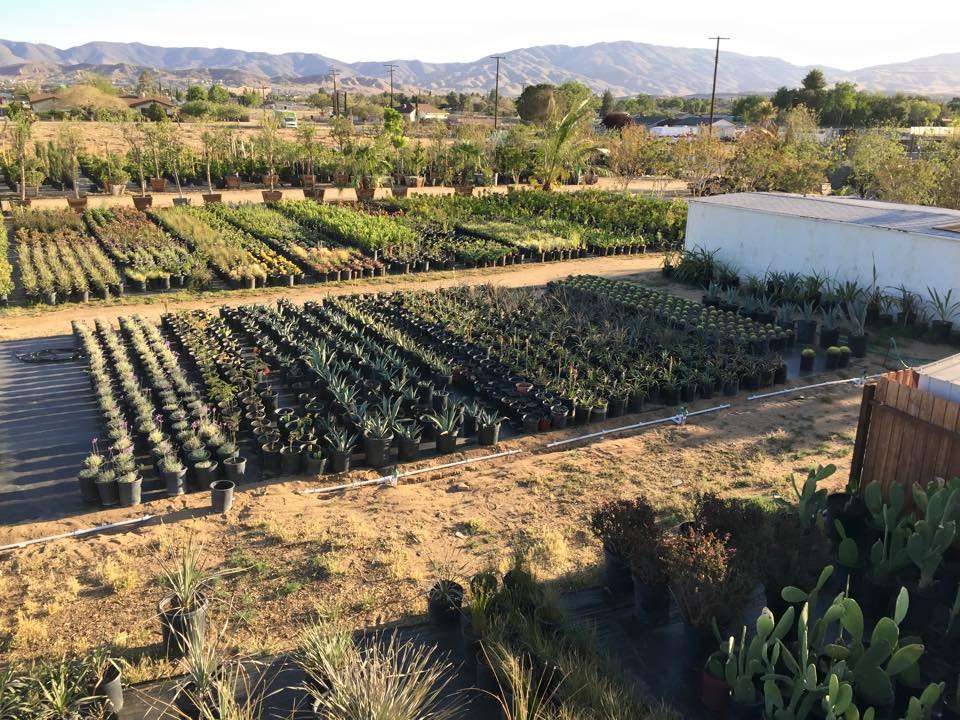 GreenBrush Nursery | 40529 12th St W, Palmdale, CA 93551 | Phone: (661) 266-9137