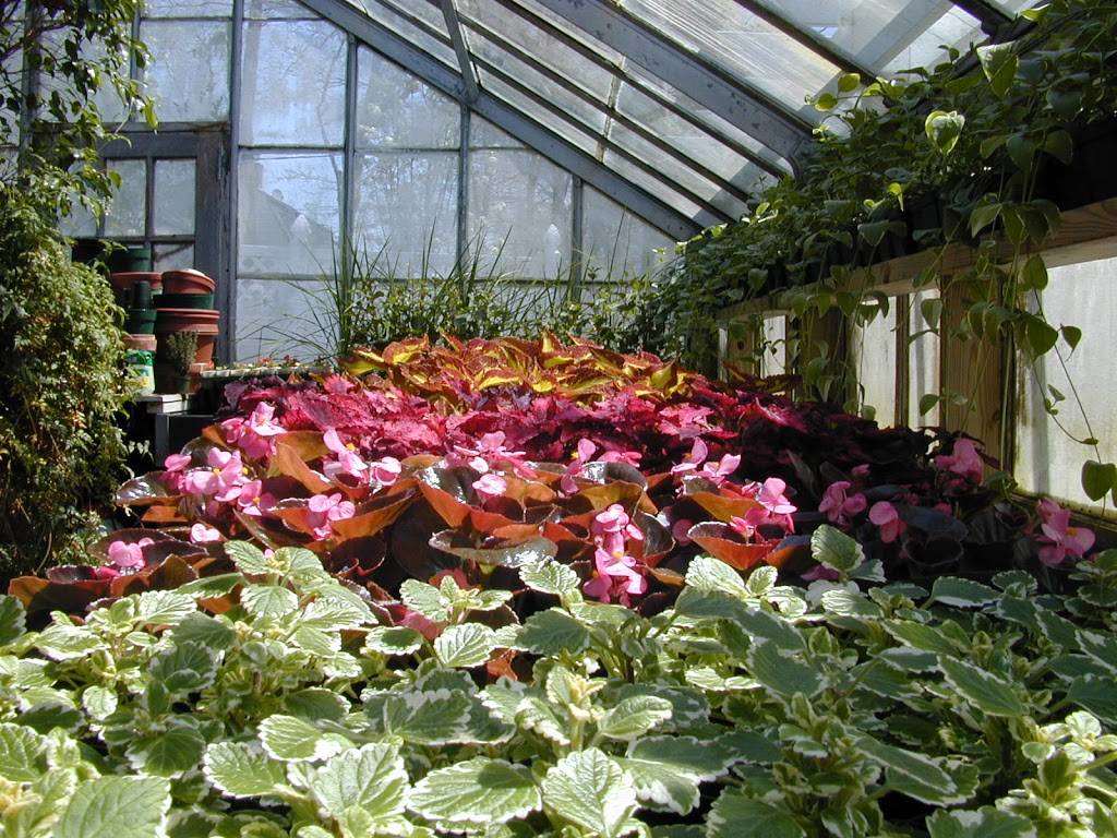 Manhasset Florist & Greenhouse (Manhasset Florist) | 25 Orchard St, Manhasset, NY 11030, USA | Phone: (516) 627-6400