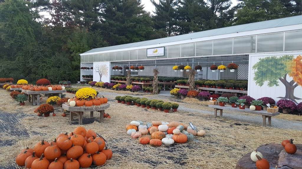 Sunny Valley Farms Amherst | 42 NH-101A, Amherst, NH 03031, USA | Phone: (603) 673-6160