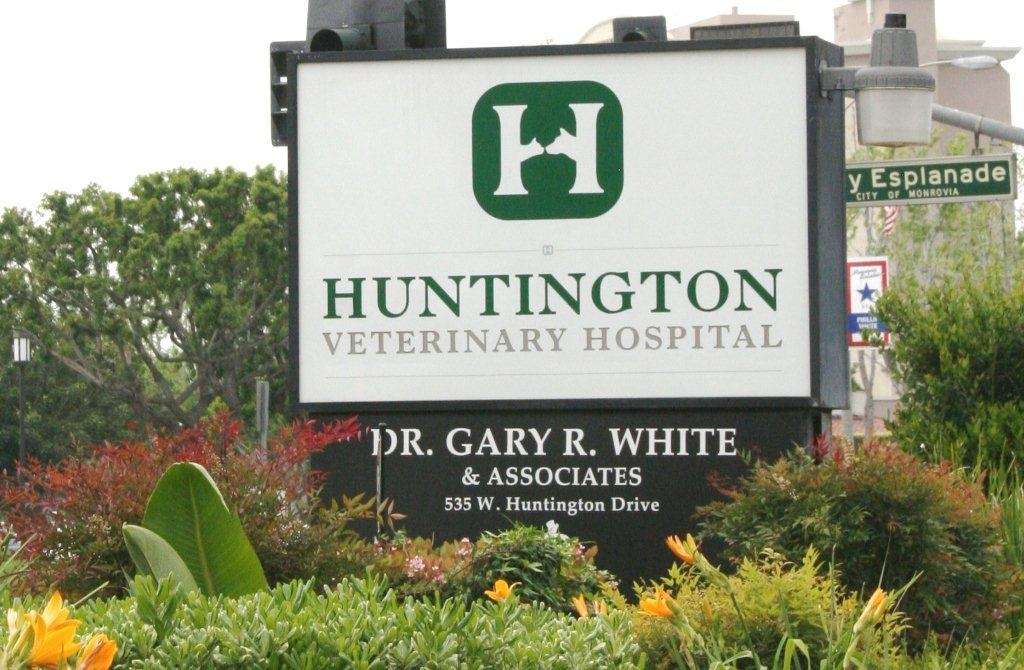 Huntington Veterinary Hospital | 535 W Huntington Dr, Monrovia, CA 91016, USA | Phone: (626) 357-2335