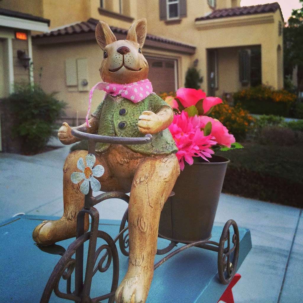 The Bicycling Bunny Little Free Library 14279 | 14608 Westfield Ave, Chino, CA 91710, USA | Phone: (909) 264-1678