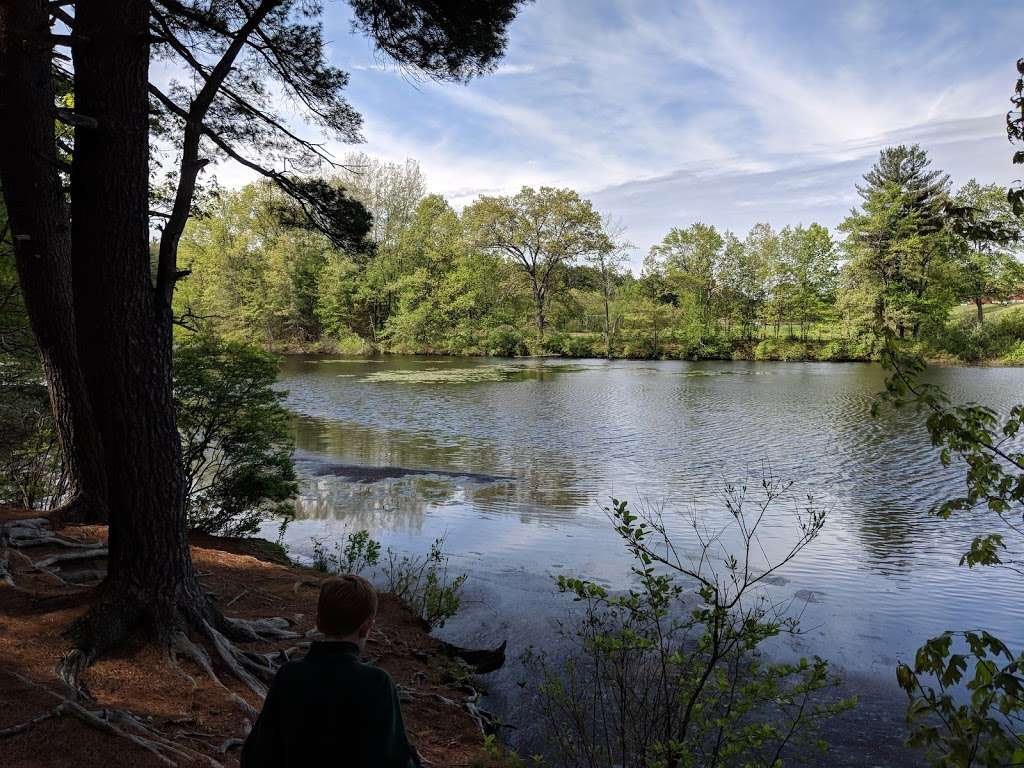 Russell Mill Pond and Town Forest | 105 Mill Rd, Chelmsford, MA 01824, USA