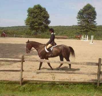 Bit-By-Bit Equestrian Center | 425 Kromer Rd, Wind Gap, PA 18091, USA | Phone: (610) 863-6616