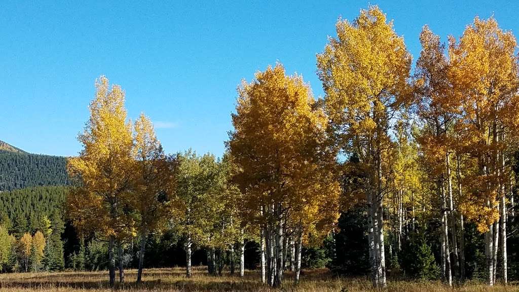 Beaver Brook Watershed Trailhead | 25123 Squaw Pass Rd, Evergreen, CO 80439, USA