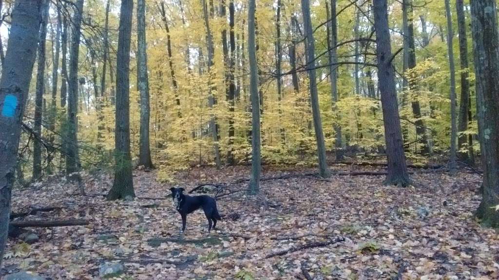 Great Hill Recreation Area | 4R Piper Ln, Acton, MA 01720, USA