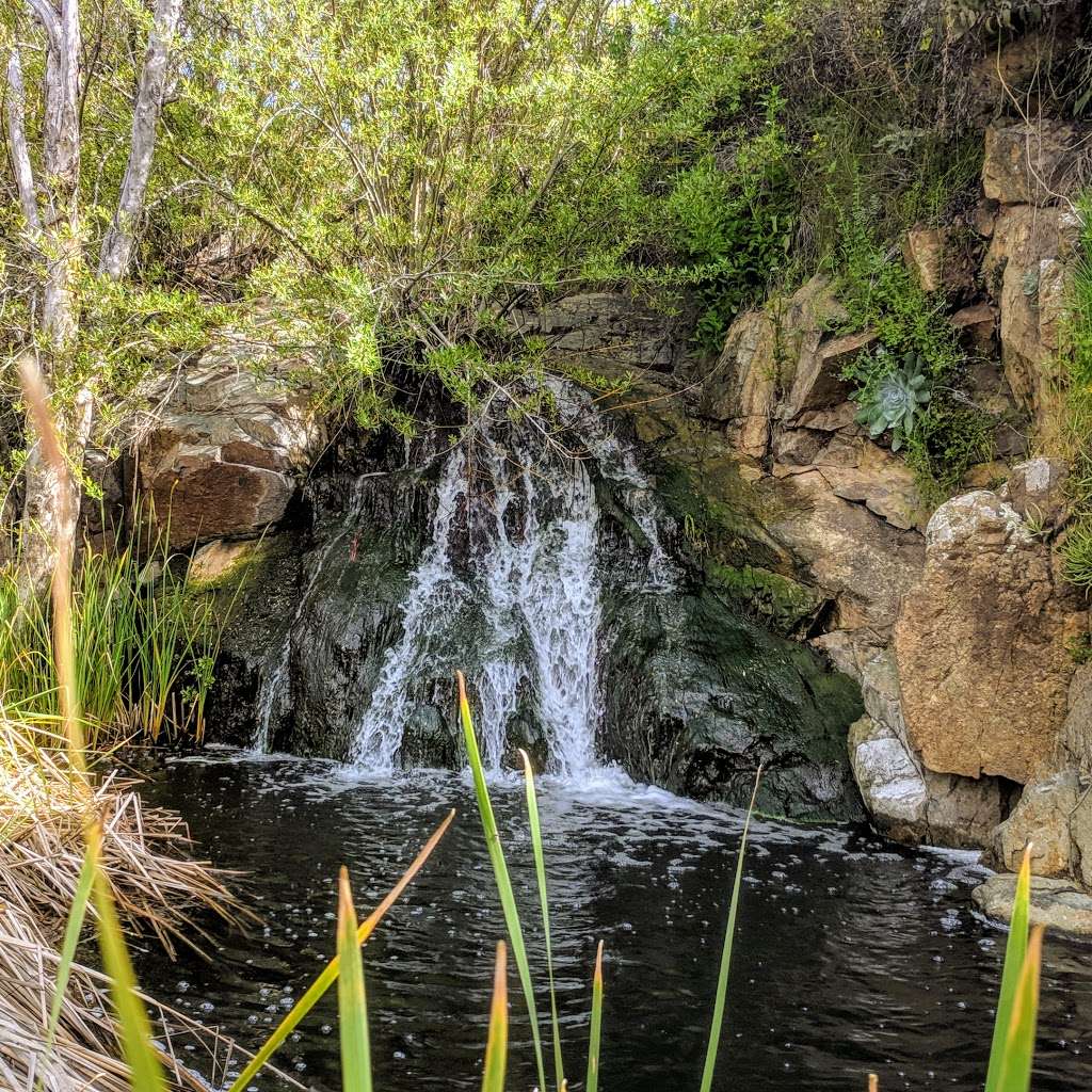 Coppers Creek Falls | Unnamed Road, Carlsbad, CA 92009, USA