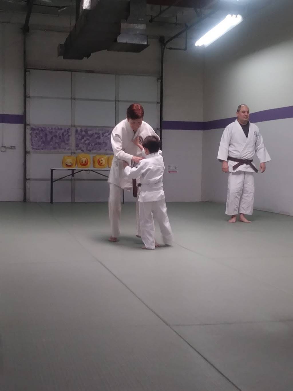 RIKI DOJO USA Japanese Jujitsu and Kodokan Judo | 535 W Iron Ave, Mesa, AZ 85210 | Phone: (480) 294-4746