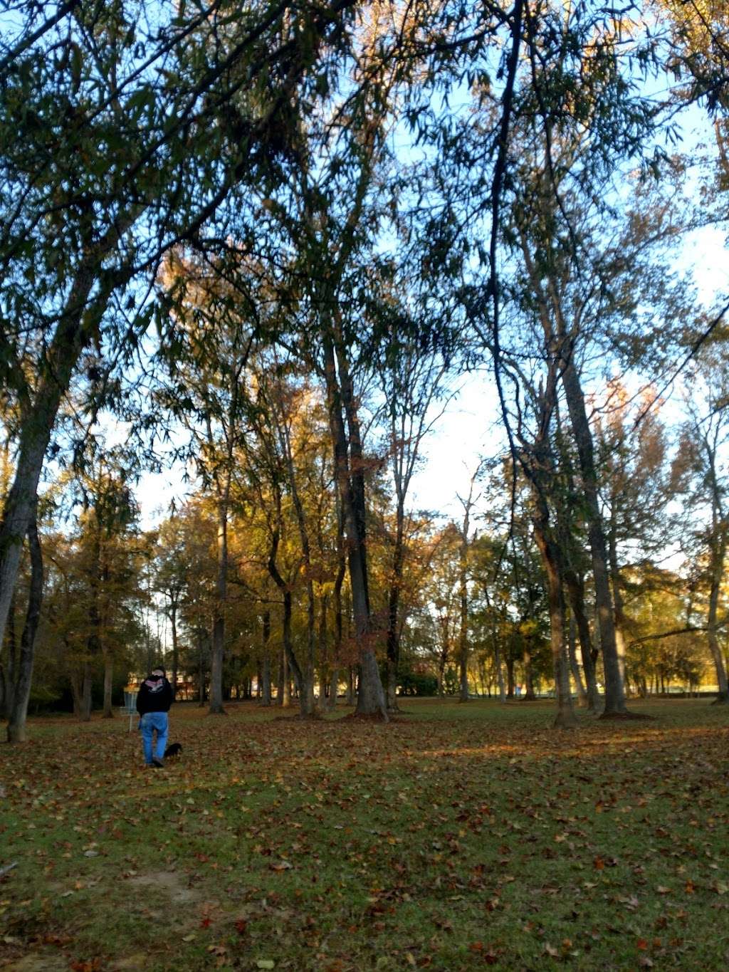 Disc Golf, Lancaster Parks & Rec | 260 State Rd S-29-527, Lancaster, SC 29720, USA | Phone: (803) 285-5545