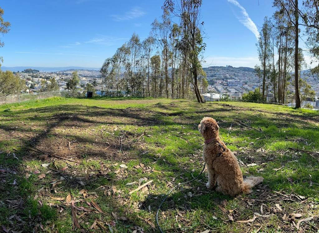 Dorothy W Erskine Park | 7 Martha Ave, San Francisco, CA 94131, USA | Phone: (415) 831-2700