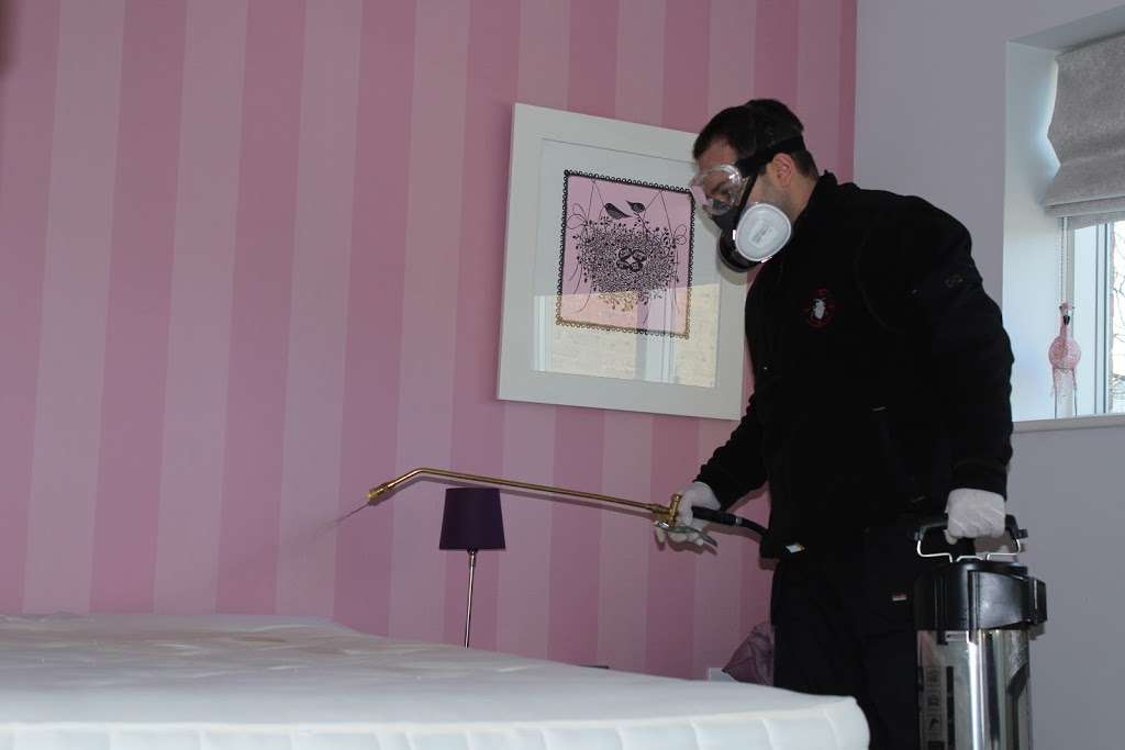 Bed Bug Hunters | London, UK | Phone: 07565 800449