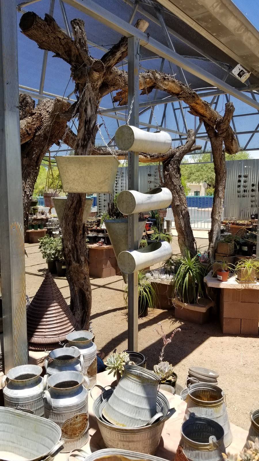 Civano Nursery - Retail Location | 5301 S Houghton Rd, Tucson, AZ 85747, USA | Phone: (520) 546-9200