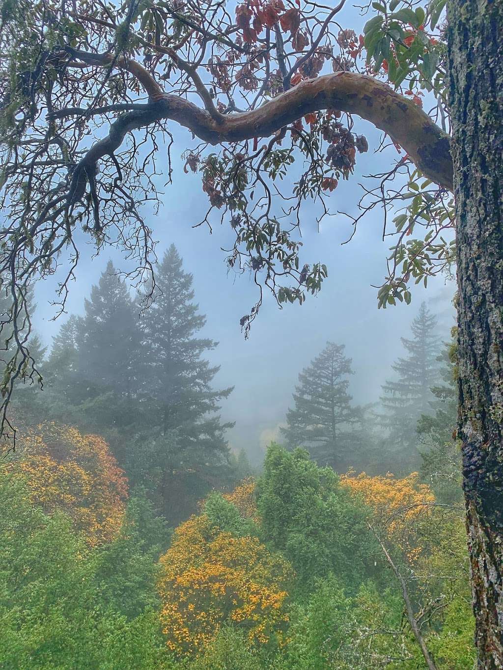 Castle Rock state park parking | Castle Rock Trail, Saratoga, CA 95070, USA