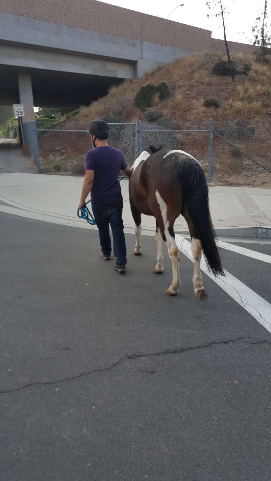 Buena Vista Equestrian Center | Yorba Linda, CA 92886, USA