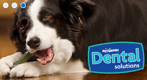 PetSmart | 4216 S Scatterfield Rd, Anderson, IN 46013, USA | Phone: (765) 643-5799